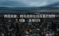 跨国观察：野花视频在线观看的独特现象 · 全球939
