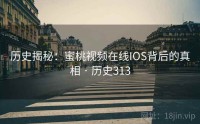历史揭秘：蜜桃视频在线IOS背后的真相 · 历史313