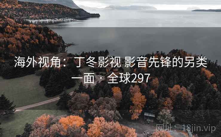 海外视角:丁冬影视 影音先锋的另类一面 · 全球297 海外视角:丁冬影视 影音先锋的另类一面 · 全球297